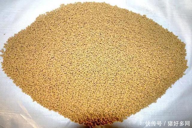 2000億播恩引領(lǐng)飼料4.0時(shí)代 推動(dòng)生物飼料標(biāo)準(zhǔn)制定，賦能畜牧技術(shù)革新
