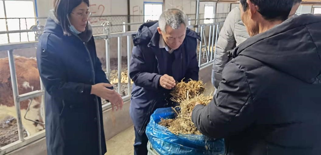吉林省畜牧局張友良處長一行調(diào)研長春示范區(qū) 對(duì)畜牧飼料技術(shù)開發(fā)提出指導(dǎo)意見